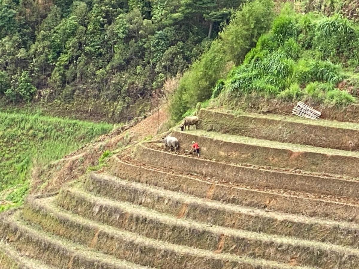 Mu Cang Chai Homestay & Trekking Extérieur photo