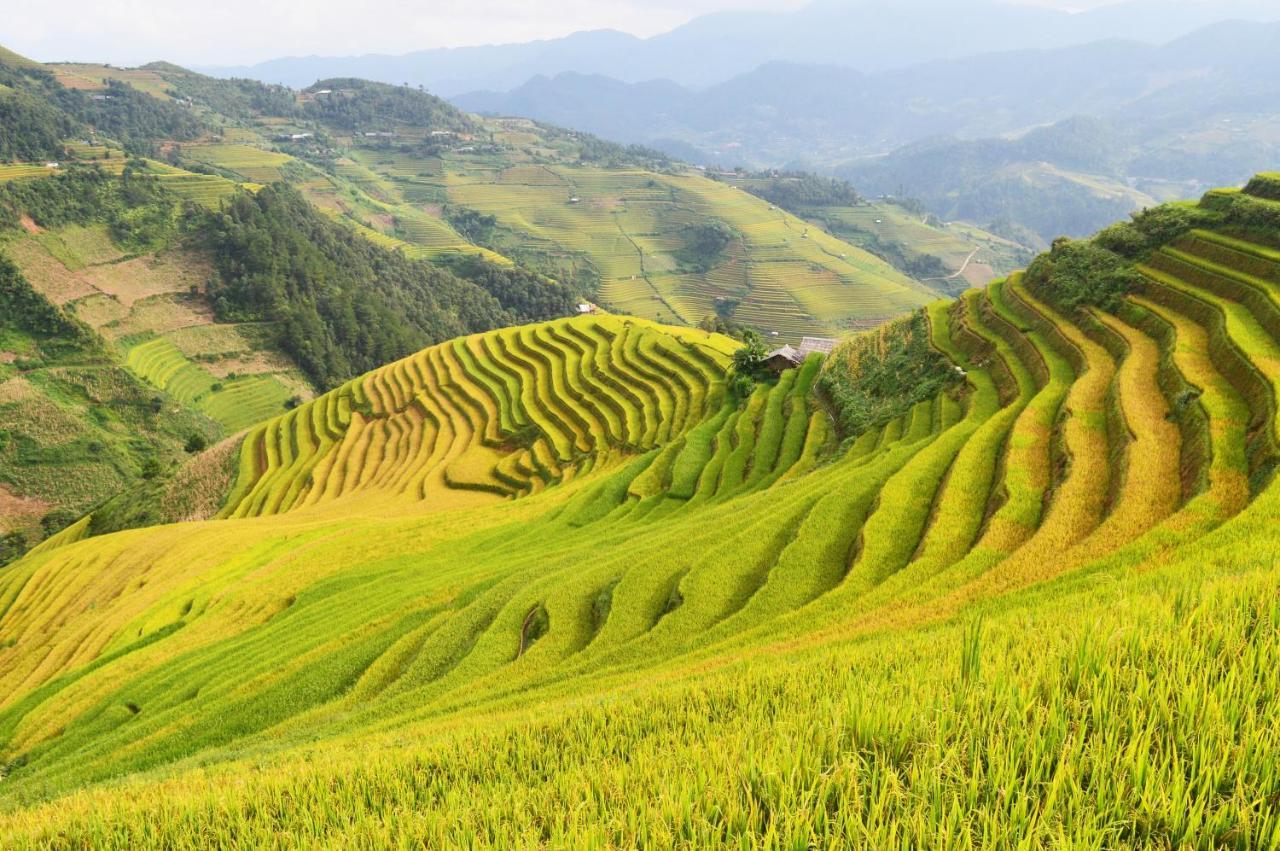 Mu Cang Chai Homestay & Trekking Extérieur photo
