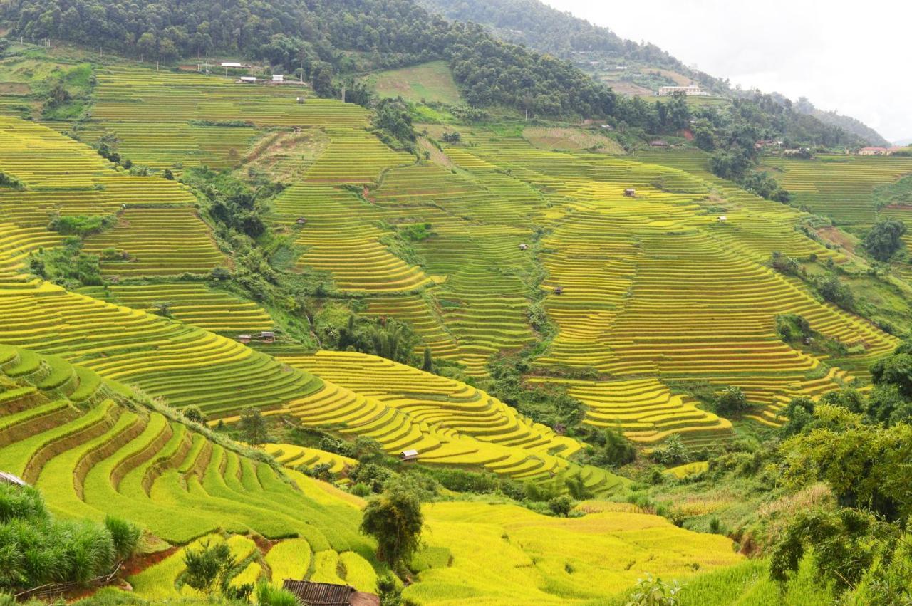 Mu Cang Chai Homestay & Trekking Extérieur photo