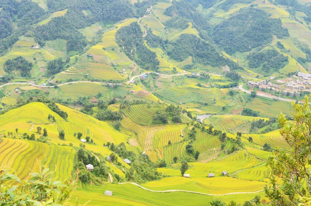 Mu Cang Chai Homestay & Trekking Extérieur photo