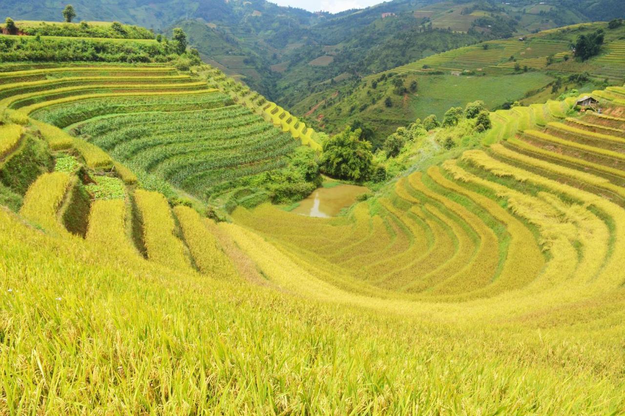 Mu Cang Chai Homestay & Trekking Extérieur photo