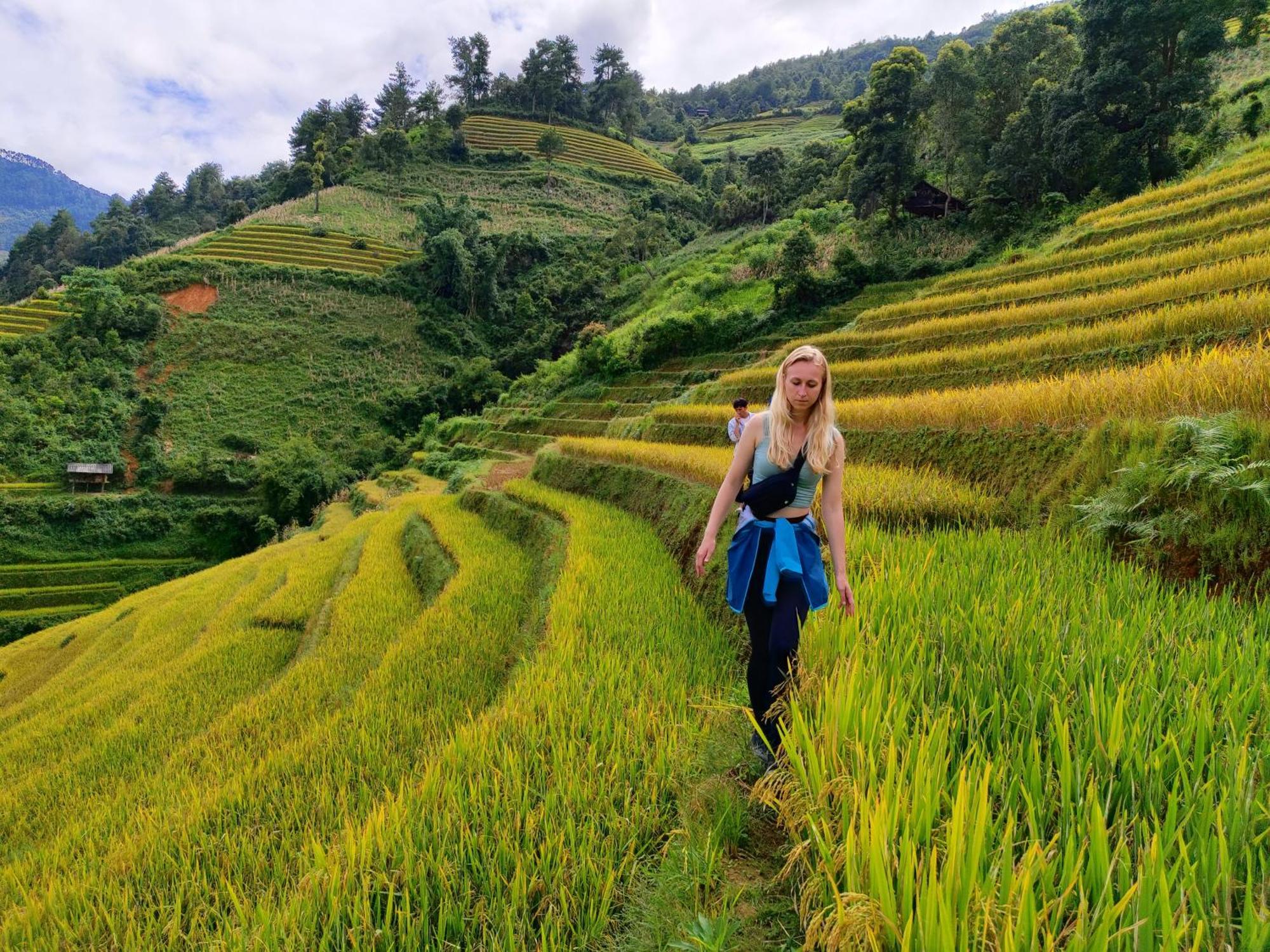 Mu Cang Chai Homestay & Trekking Extérieur photo