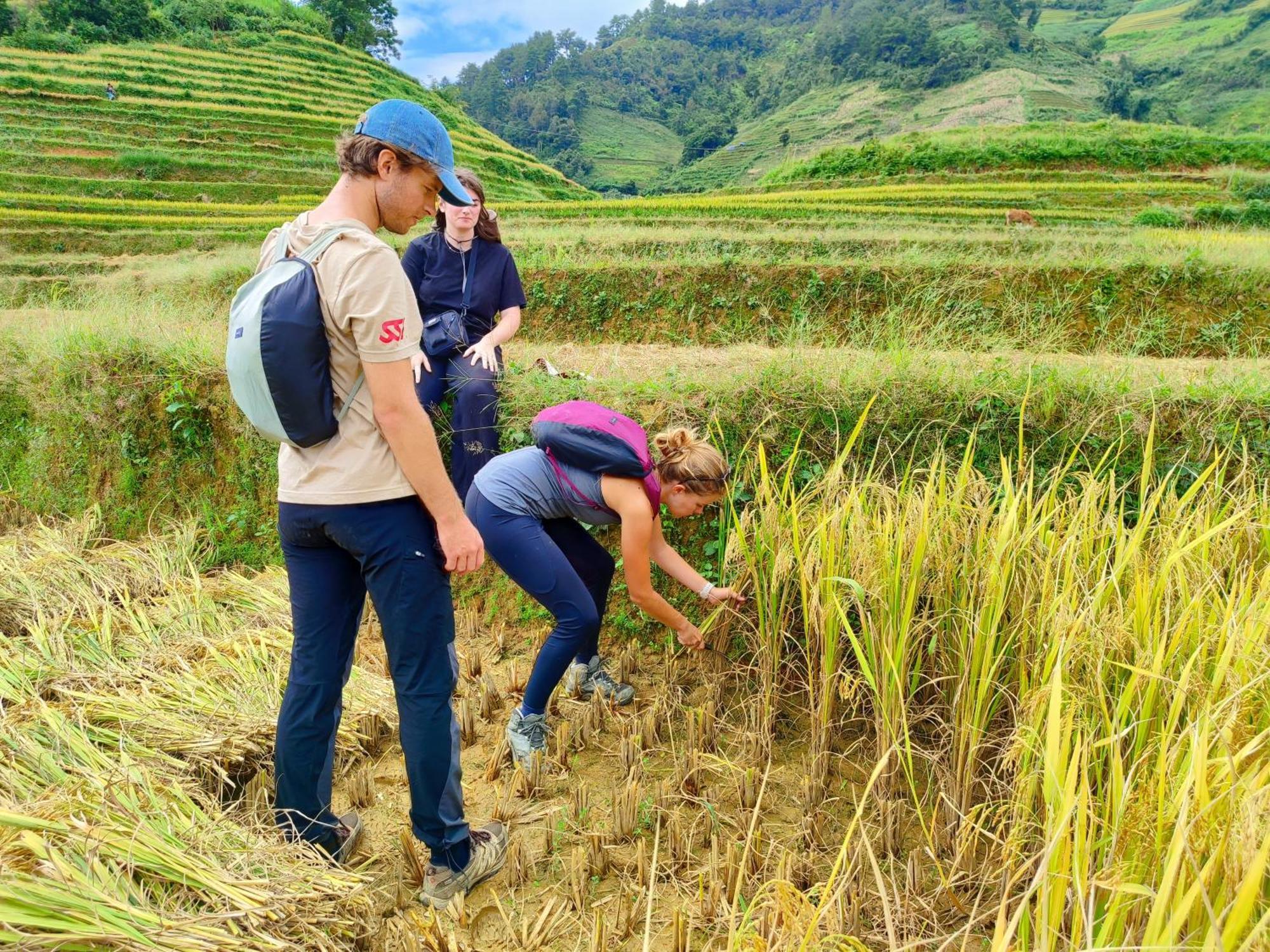 Mu Cang Chai Homestay & Trekking Extérieur photo