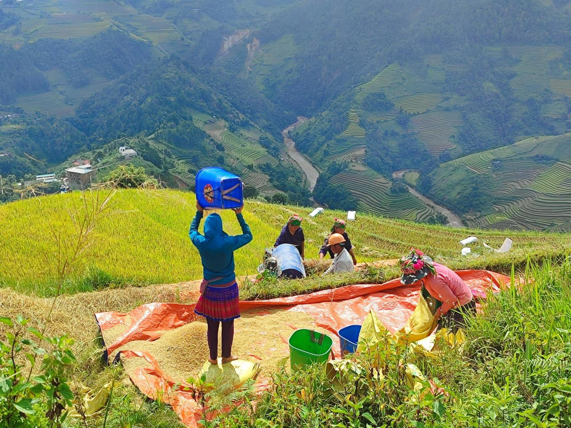 Mu Cang Chai Homestay & Trekking Extérieur photo