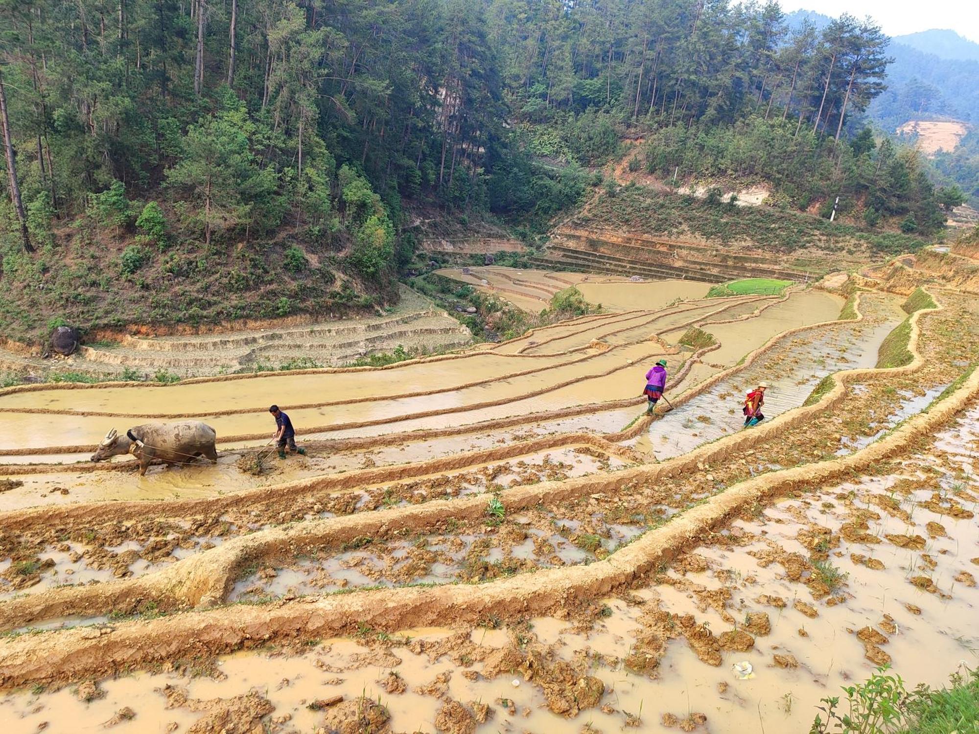 Mu Cang Chai Homestay & Trekking Extérieur photo