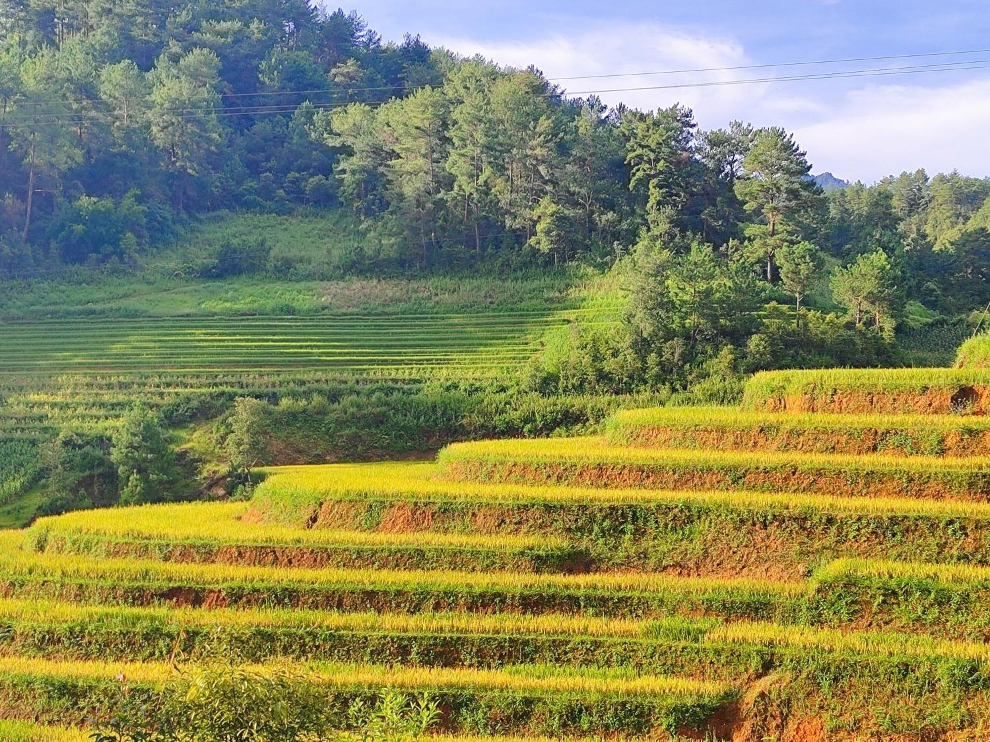 Mu Cang Chai Homestay & Trekking Extérieur photo