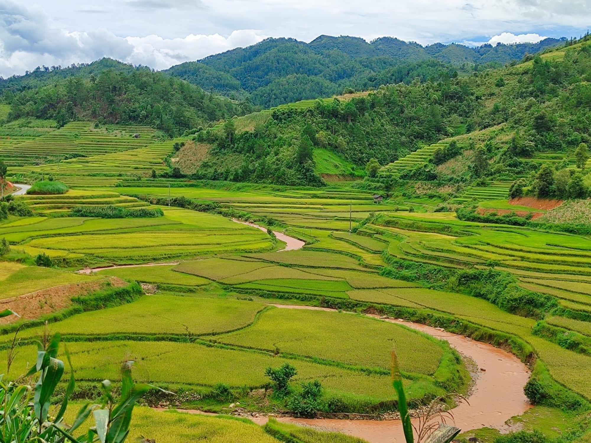 Mu Cang Chai Homestay & Trekking Extérieur photo