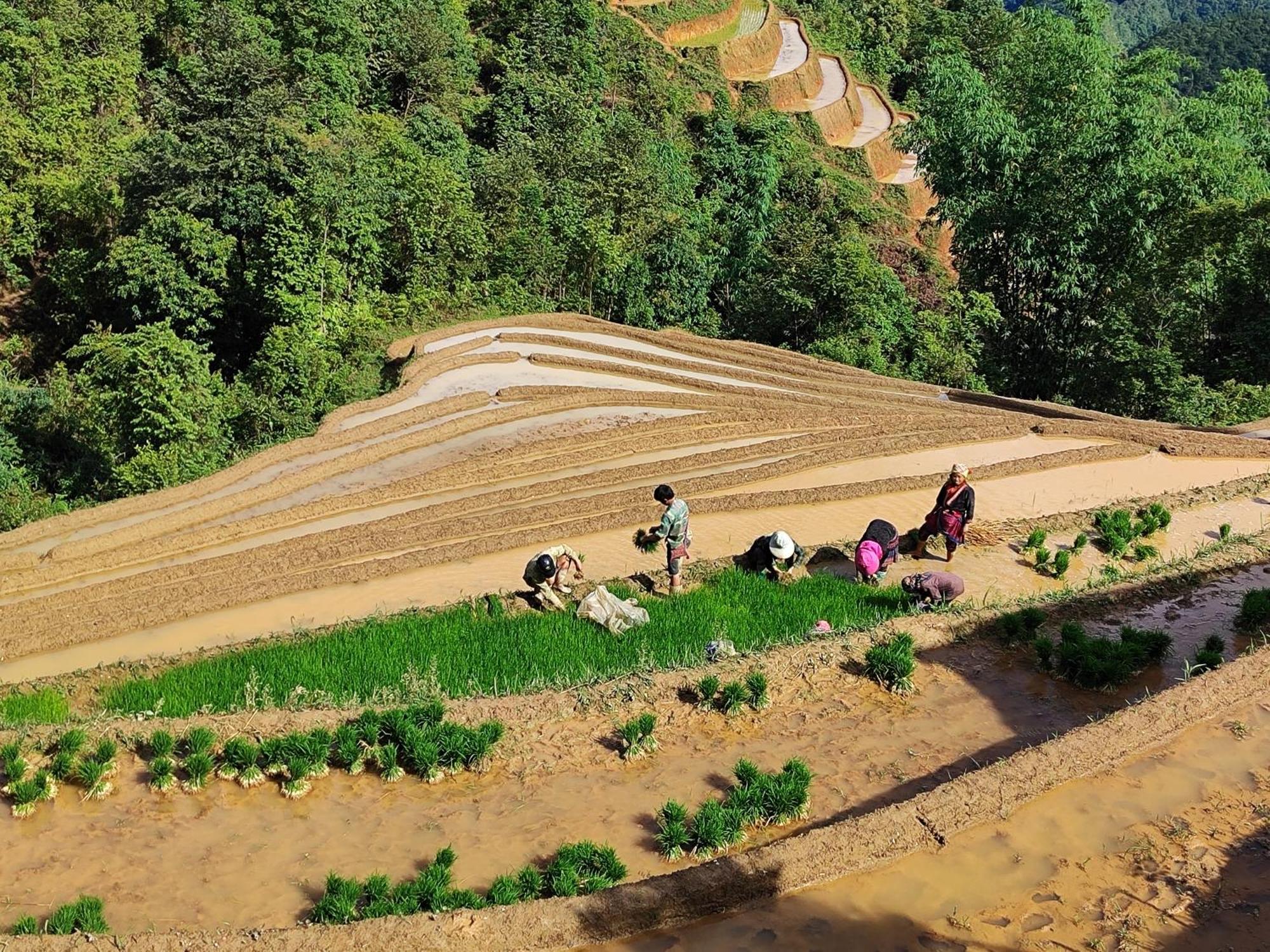 Mu Cang Chai Homestay & Trekking Extérieur photo